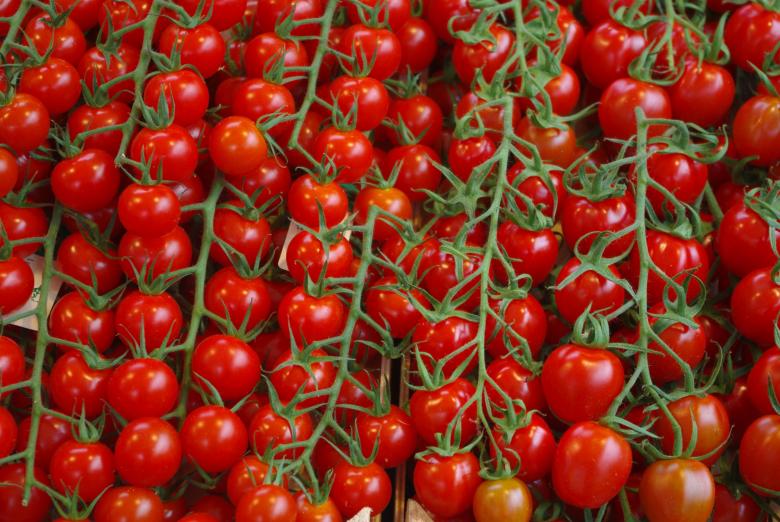 Free stock image of Fresh Tomatoes created by Pixabay