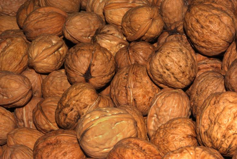 Free stock image of Bunch of Walnuts created by Pixabay