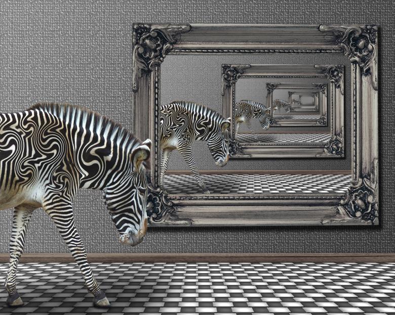Free stock image of Zebra Reflection created by Pixabay
