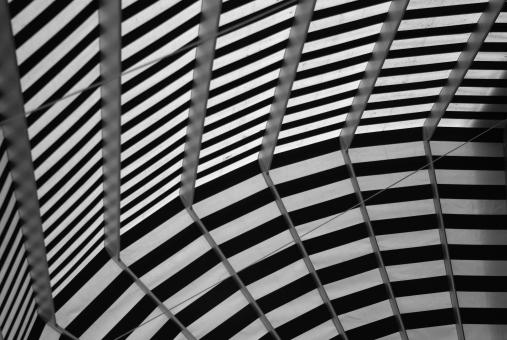 Free Stock Photo of Awing Design