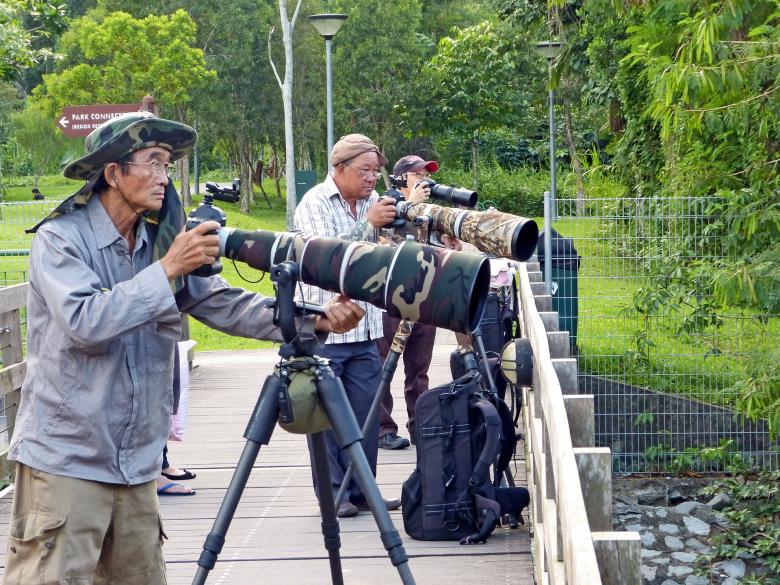 Free stock image of Photographers in Park created by Pixabay