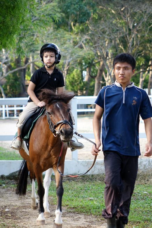 Free stock image of Horse Rider created by Pixabay