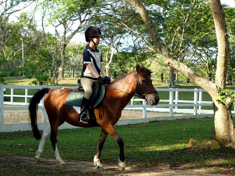 Free stock image of Horse Rider created by Pixabay