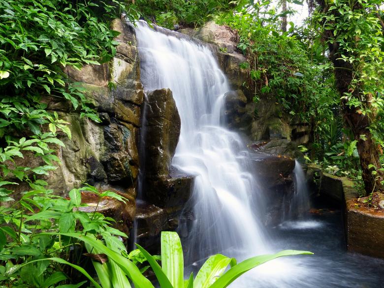 Free stock image of Wild Waterfall created by Pixabay