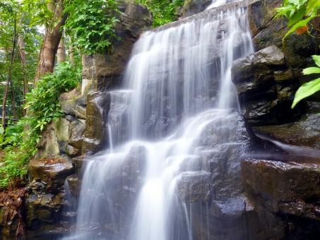 Wild Waterfall - Free Stock Photo
