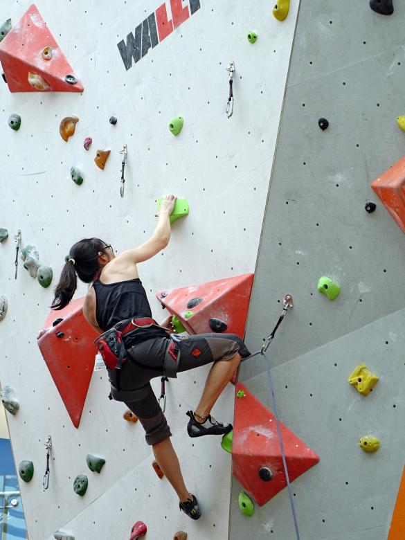 Free stock image of Climbing the Wall created by Pixabay