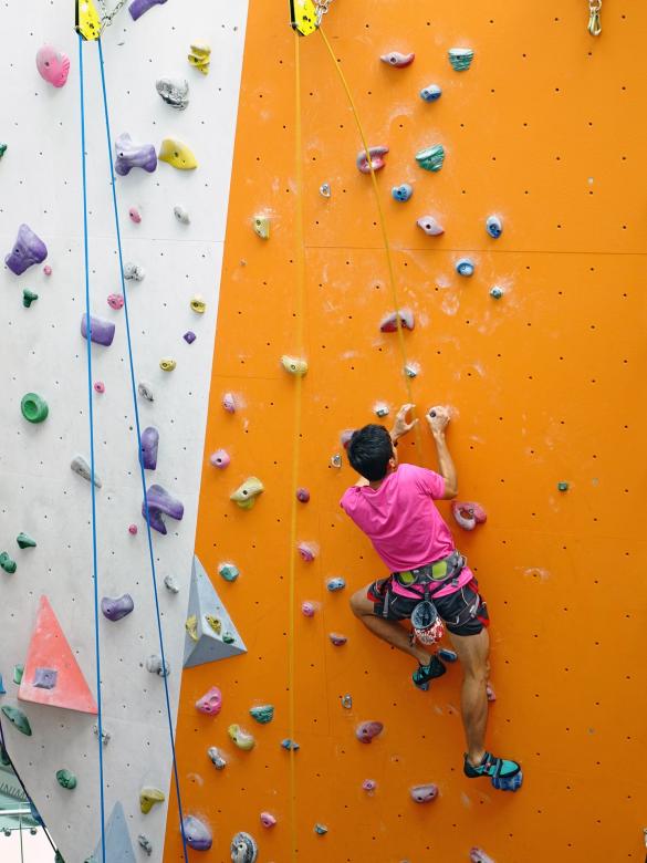 Free stock image of Climbing the Wall created by Pixabay