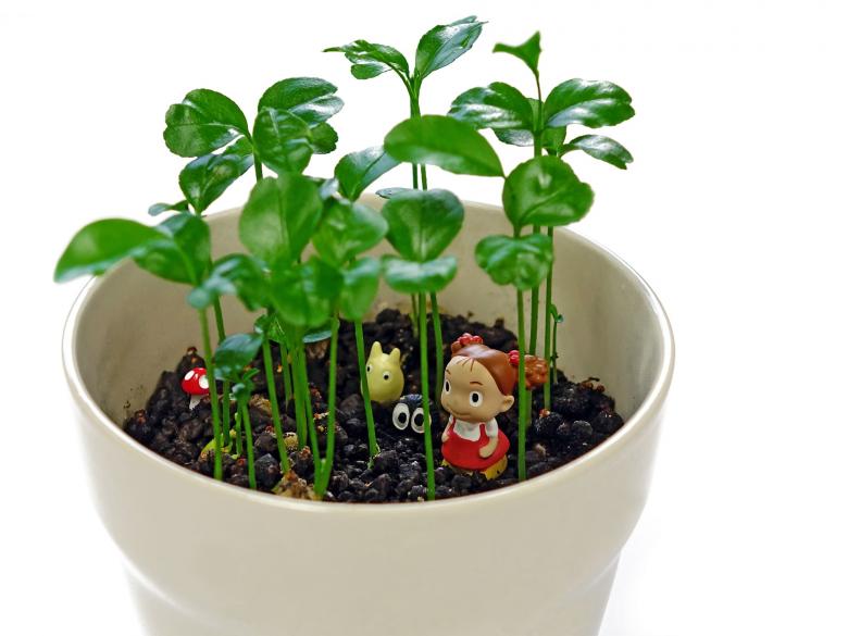 Free stock image of Toys in the Pot created by Pixabay