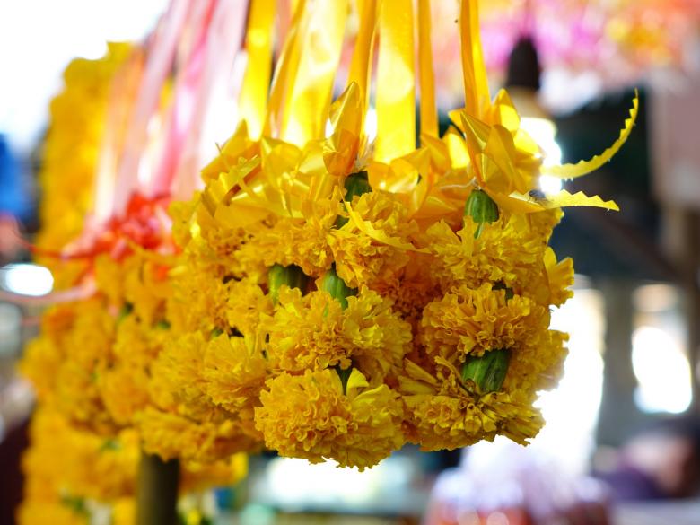 Free stock image of Sampaguita Flowers created by Pixabay