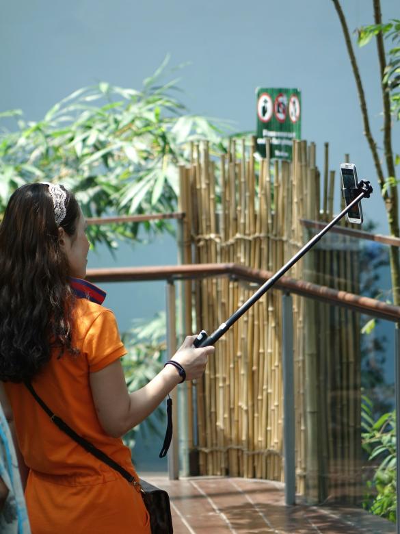 Free stock image of Selfie Stick created by Pixabay