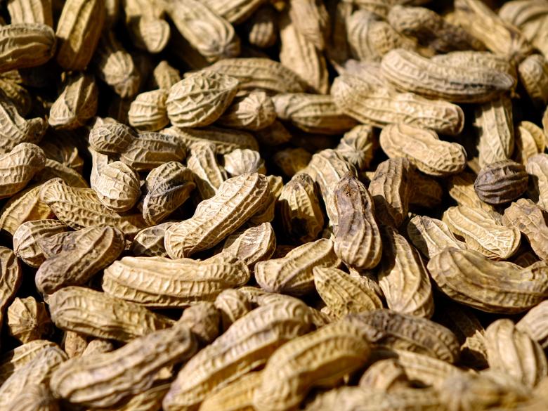 Free stock image of Fresh Peanuts created by Pixabay