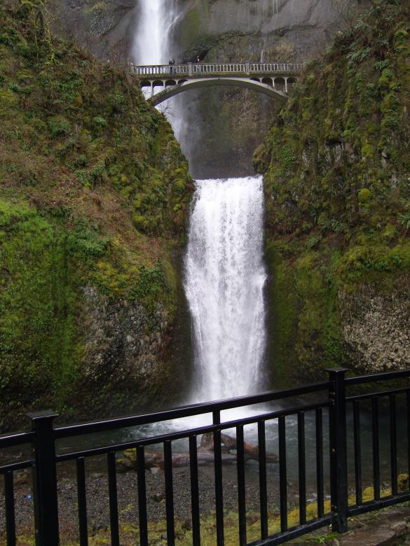 Free stock image of Multnoma If created by Pixabay