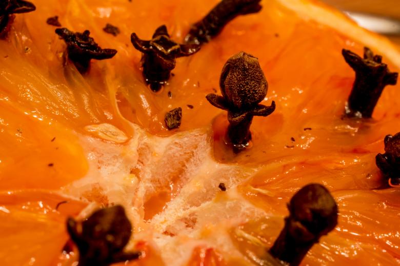 Free stock image of Studded Orange created by Pixabay