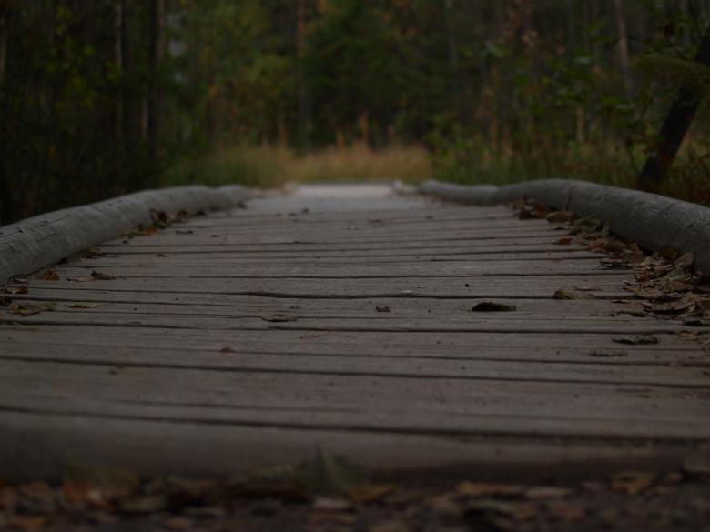 Free stock image of Path with wooden bridge created by Marko Mäkinen