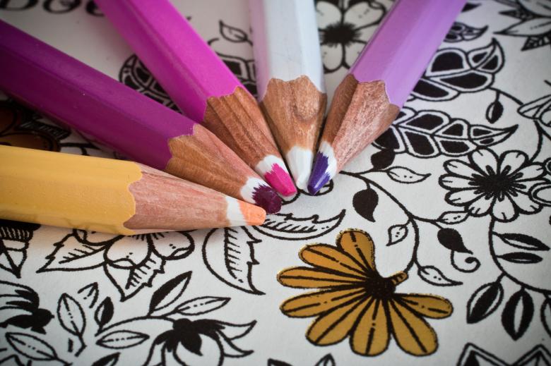 Free stock image of Coloring Book for Adults created by Pixabay
