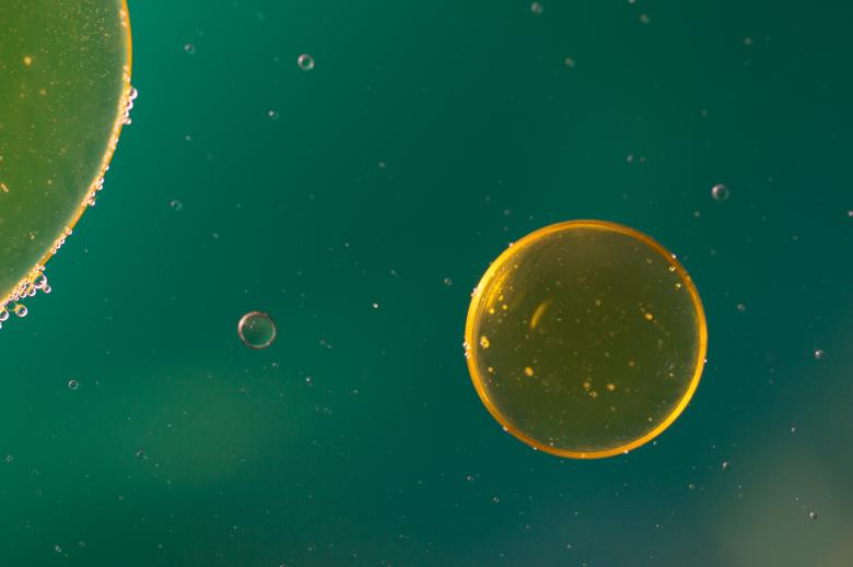 Free stock image of Oil in Water created by Pixabay