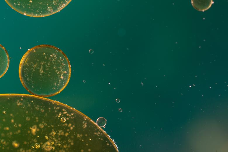 Free stock image of Oil in Water created by Pixabay