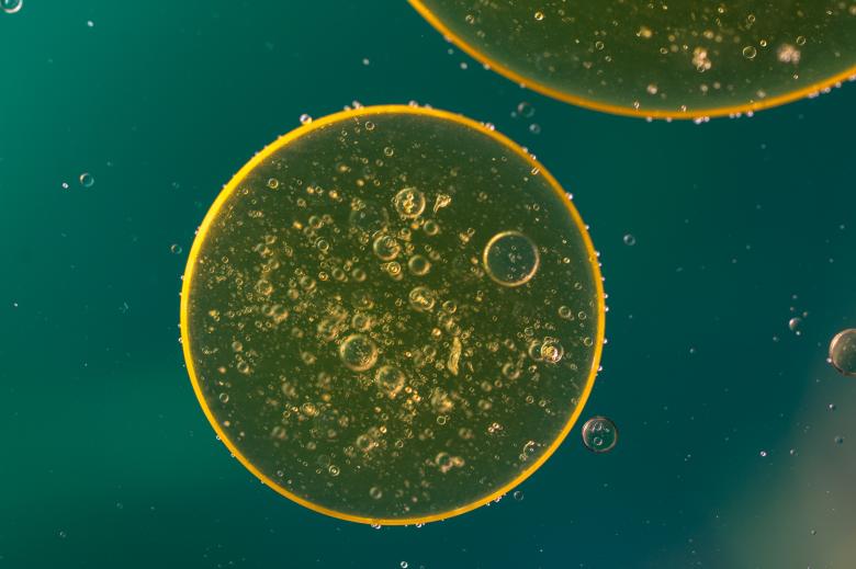 Free stock image of Oil in Water created by Pixabay