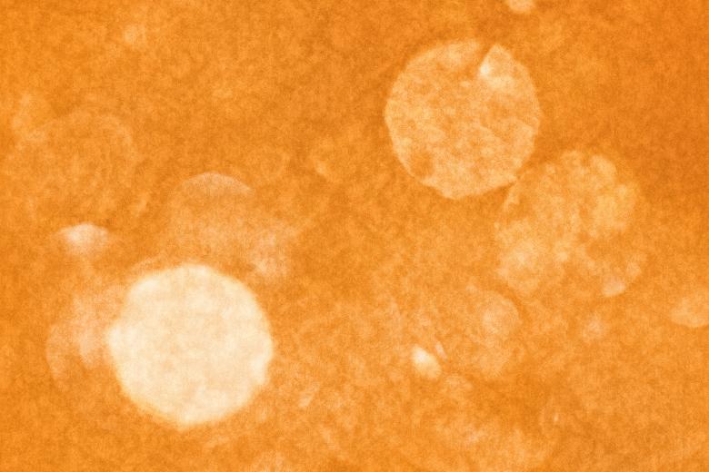 Free stock image of Vintage Velvet Bokeh created by Nicolas Raymond