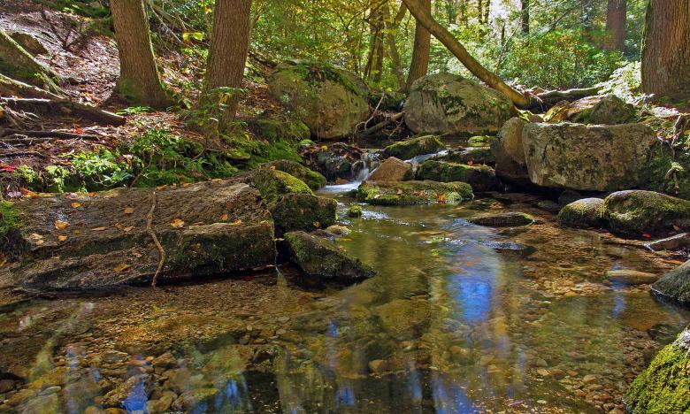Free stock image of Stream at Lake Minnewaska State Park created by Eric Yuen