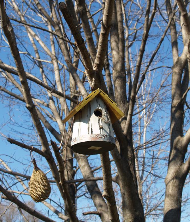 Free stock image of The Birdhouse created by Mario