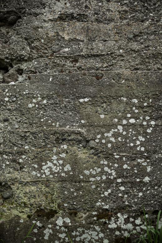 Free stock image of Old Worn Concrete Wall Texture created by Free Texture Friday