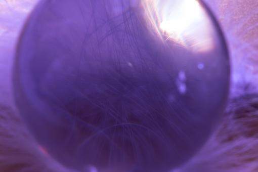 Free Stock Photo of Glass Ball n Feathers