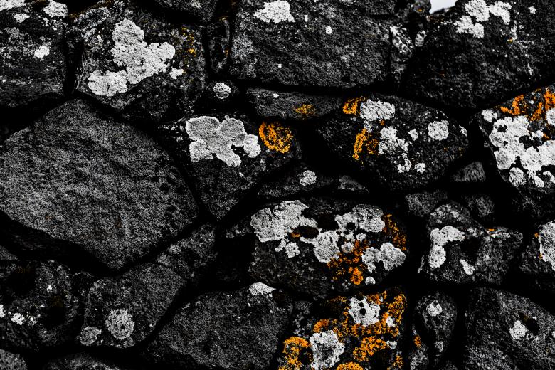 Free stock image of Old Stone Background With Lichen created by Free Texture Friday
