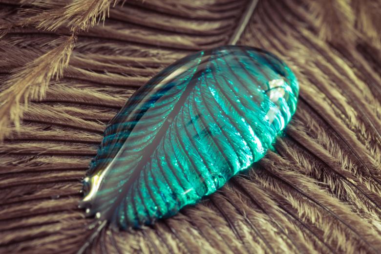 Free stock image of Liquid on the Feather created by Pixabay
