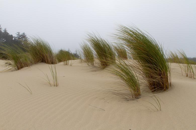 Free stock image of Sand Dunes created by Geoffrey Whiteway