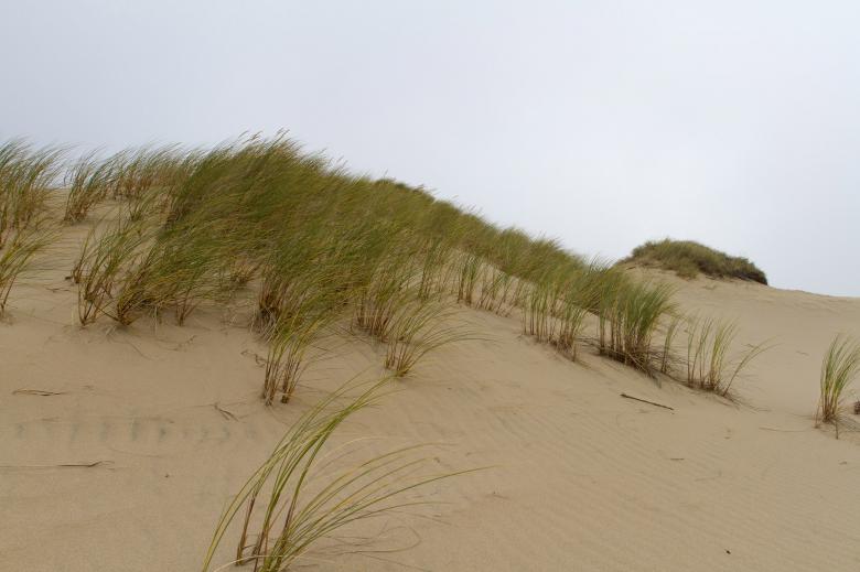 Free stock image of Sand Dunes created by Geoffrey Whiteway