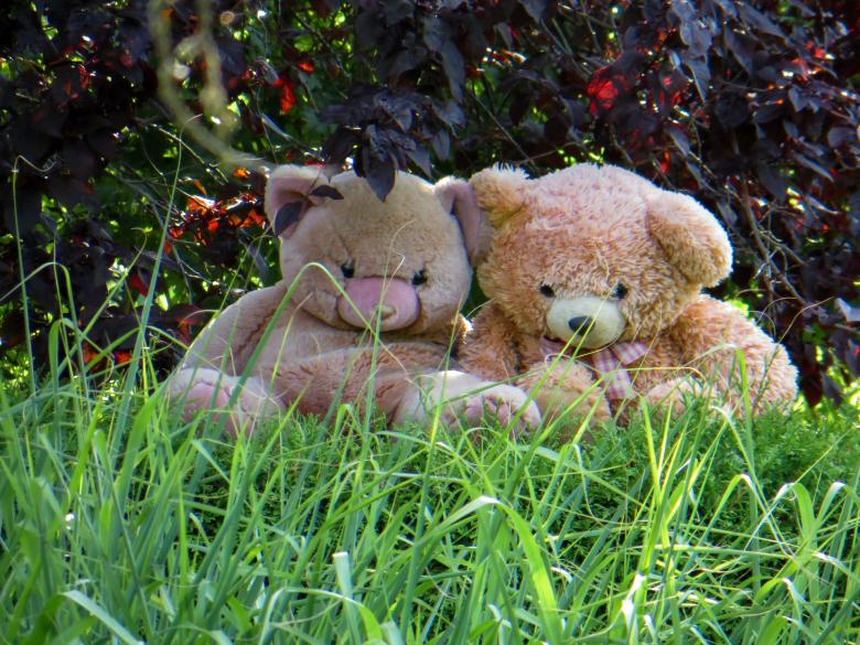 Free stock image of Teddy Couple created by Pixabay