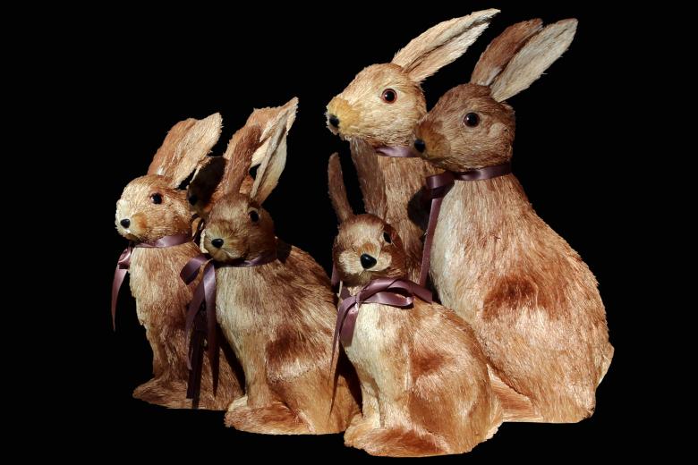 Free stock image of Easter Bunny created by Pixabay