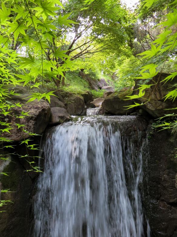 Free stock image of Wild Waterfall created by Pixabay