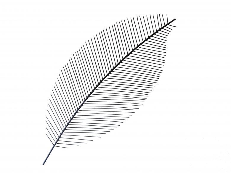 Free stock image of Feather - Abstract Art created by Pixabay