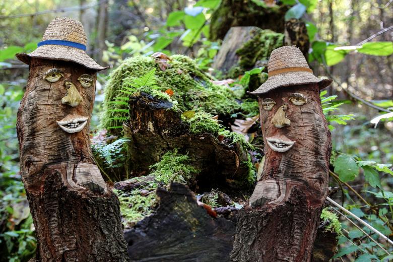 Free stock image of In the Woods created by Pixabay