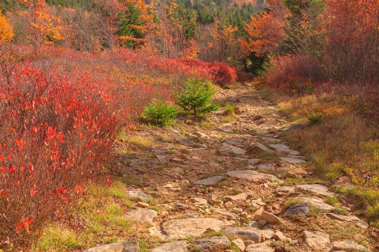 Free stock image of Autumn Christmas Trail - HDR created by Nicolas Raymond