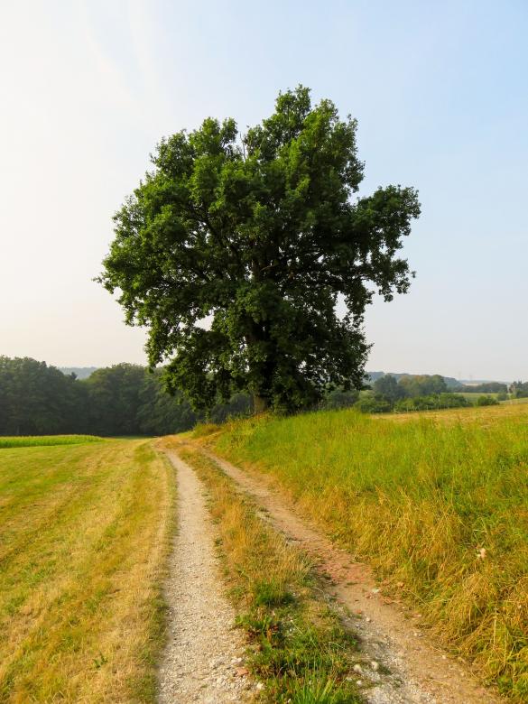 Free stock image of Near the Farm created by Pixabay