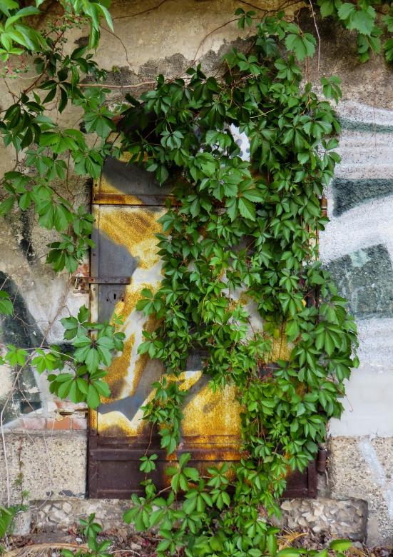 Free stock image of Old House created by Pixabay
