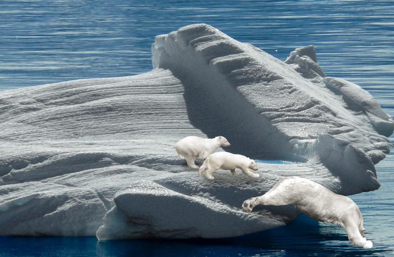 Free stock image of Polar Bears on the Iceberg created by Pixabay