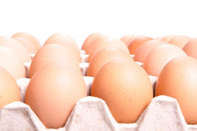 Free stock image of eggs  created by 2happy