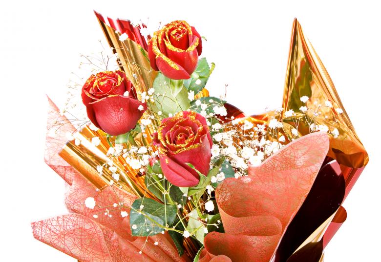 Free stock image of Roses created by 2happy