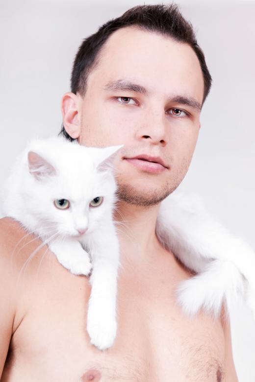 Free stock image of man with cat created by 2happy