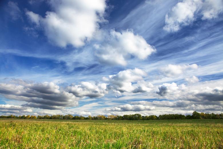Free stock image of summer  created by 2happy