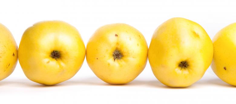 Free stock image of apples  created by 2happy