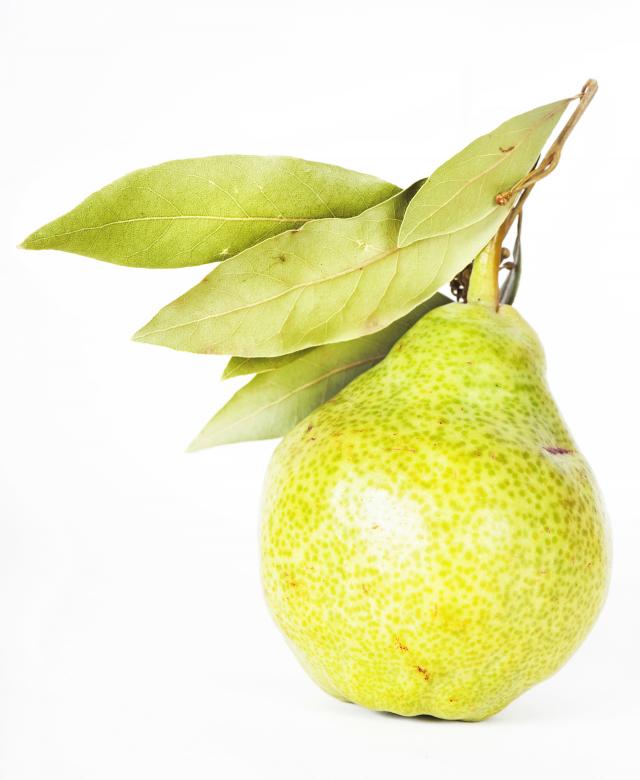 Free stock image of Pear  created by 2happy