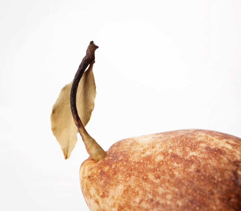 Free stock image of Rotten Pear created by 2happy