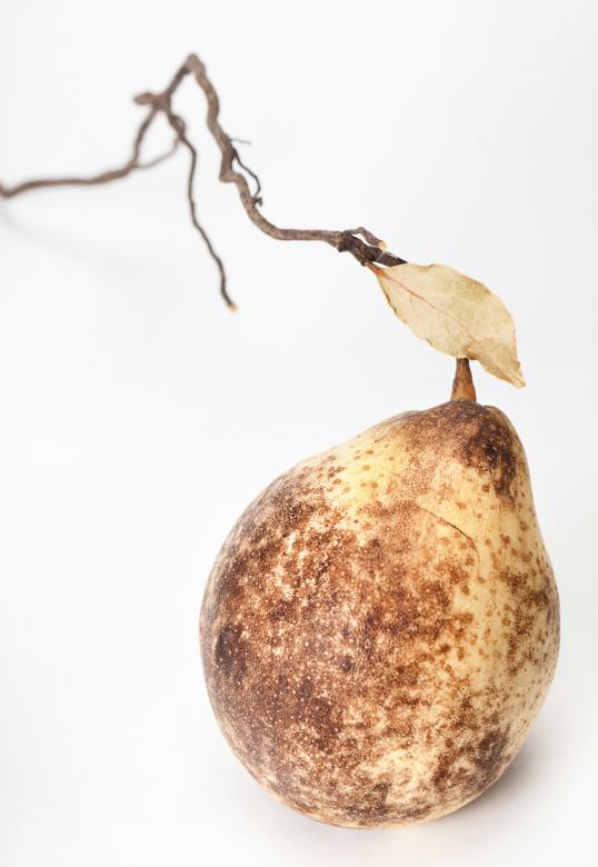 Free stock image of pear created by 2happy