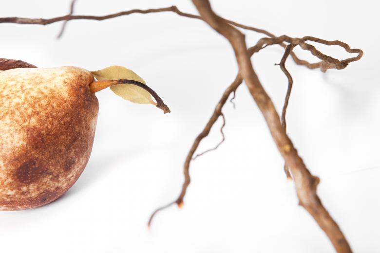 Free stock image of pear created by 2happy