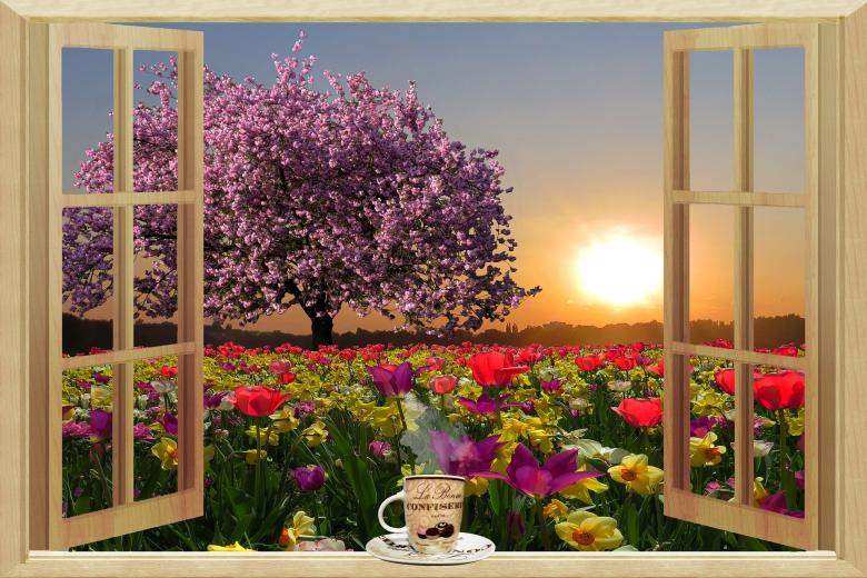 Free stock image of Garden From the Window created by Pixabay